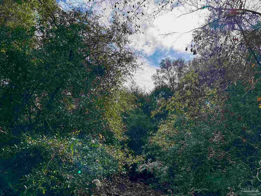 400 BLK N Century Blvd, McDavid, FL 32568 - #2