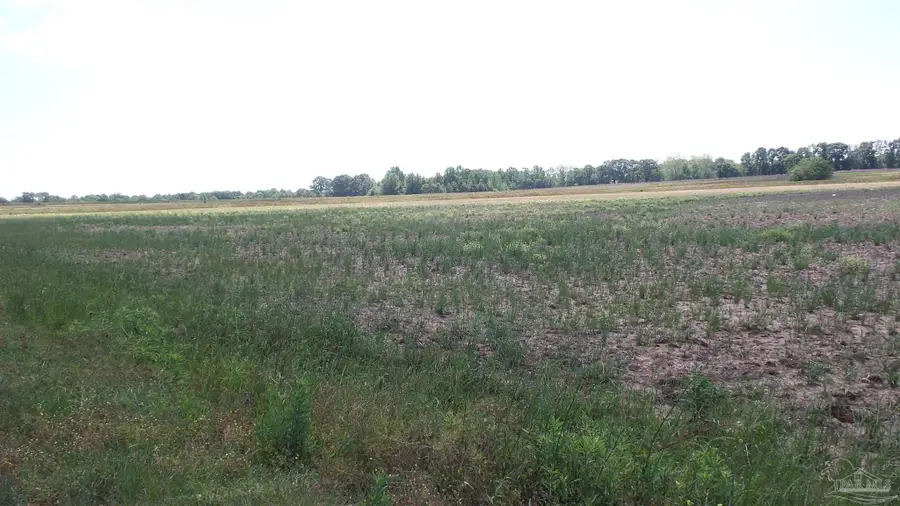 0 Hwy 21, Atmore, AL 36502 - Image #2