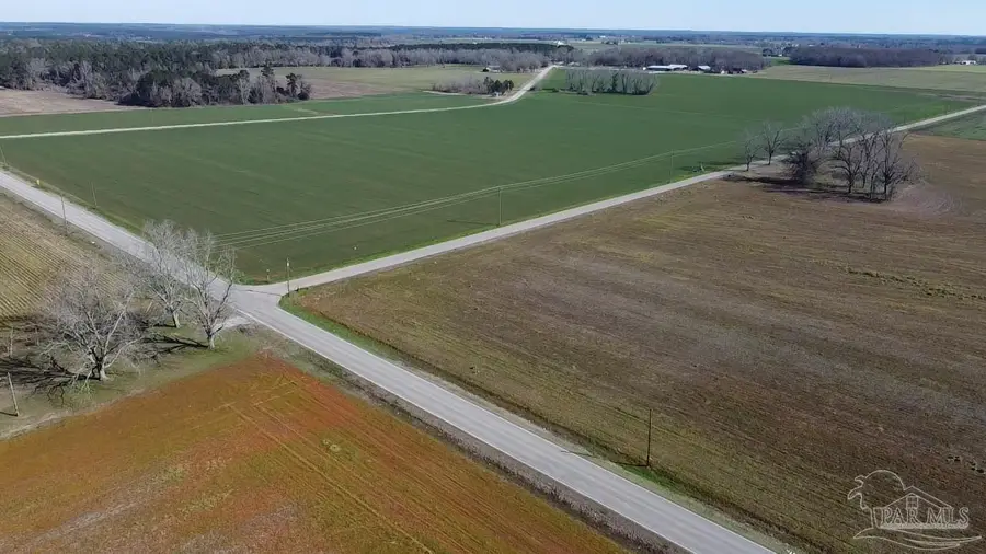 800 Block Pouncey Rd, Atmore, AL 36502 - Image #3