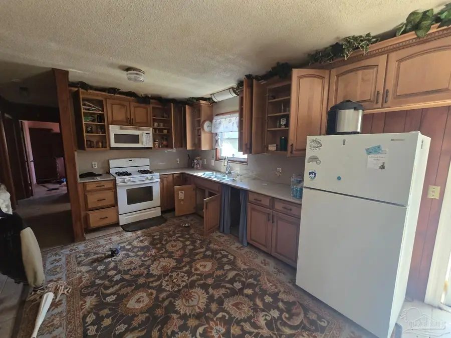 10501 Hwy 97 A, McDavid, FL 32568 - Image #3