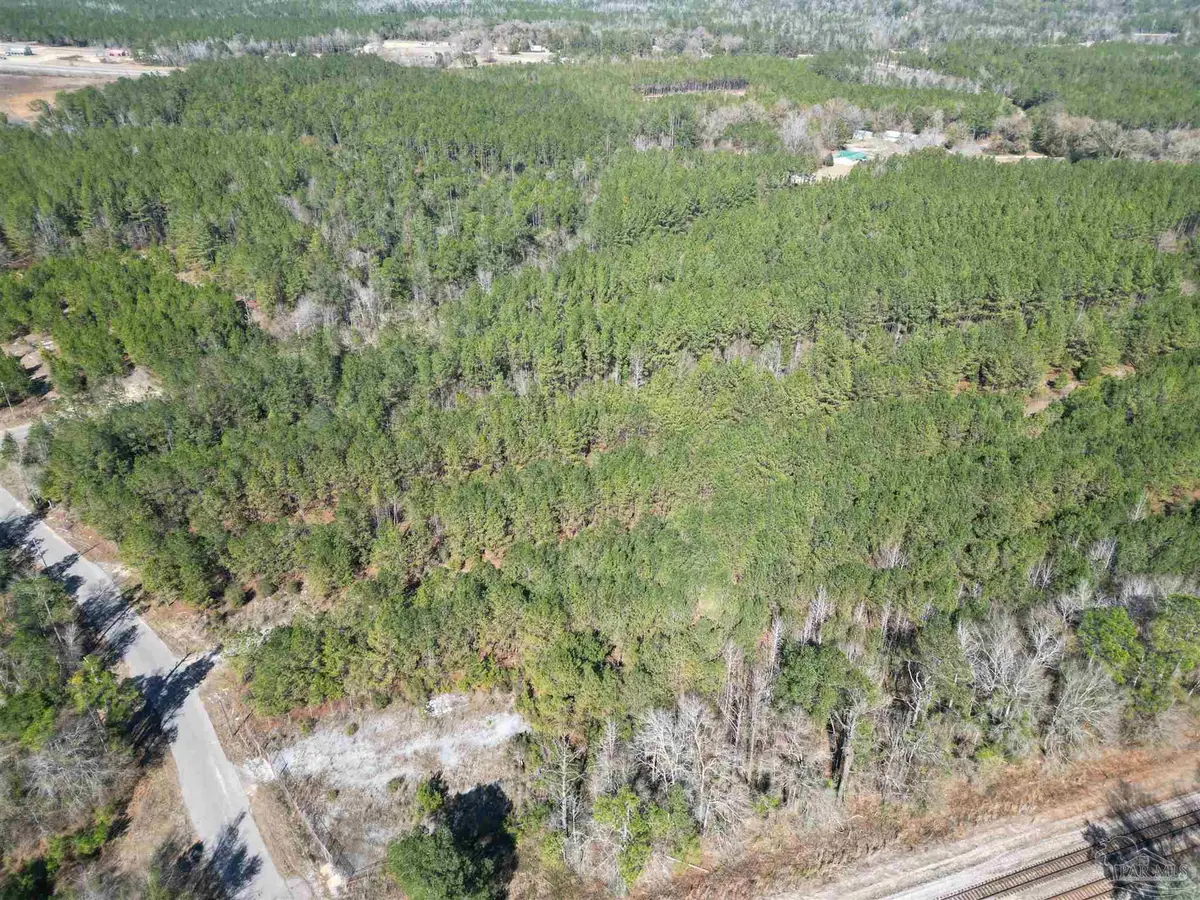 0 Old Fannie Rd, Flomaton, AL 36441 - #1