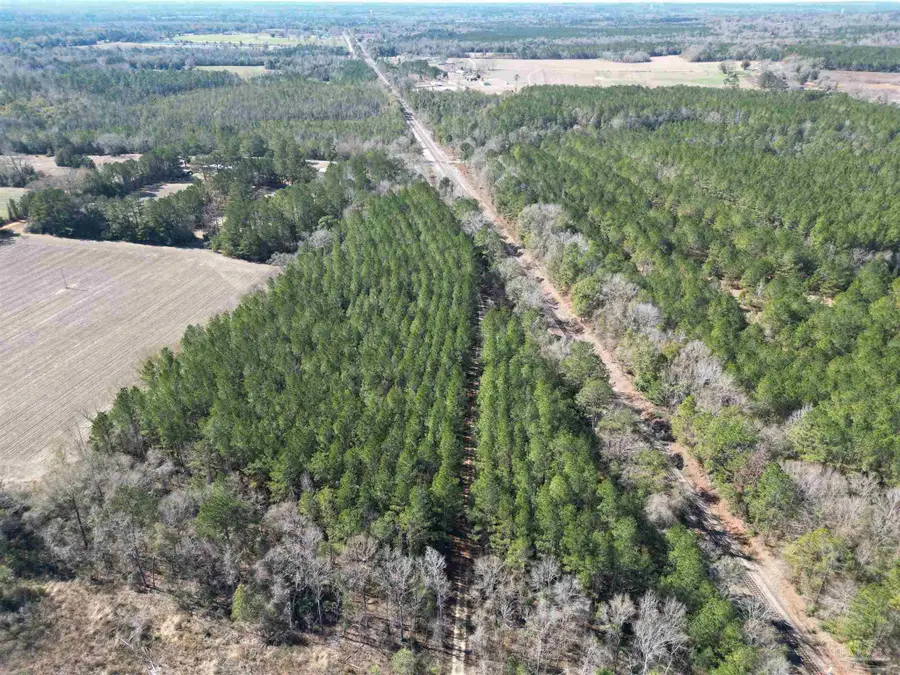 01 Clifton Ln, Flomaton, AL 36441 - #2