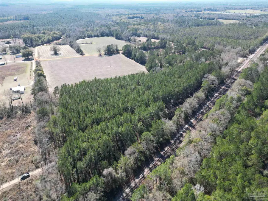 01 Clifton Ln, Flomaton, AL 36441 - #3