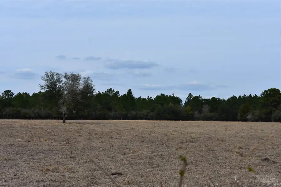 0000 Pat Brown Rd, Milton, FL 32570 - Image #2