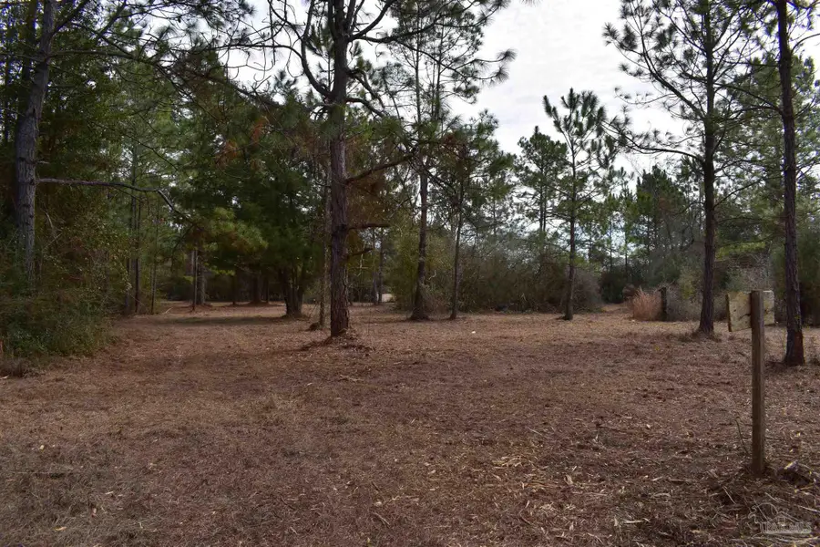 0000 Pat Brown Rd, Milton, FL 32570 - Image #3