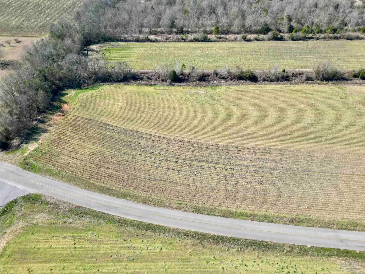 1 Cowpen Creek Rd, Atmore, AL 36502 - #1