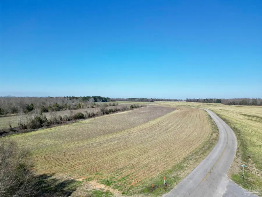 1 Cowpen Creek Rd, Atmore, AL 36502 - #2