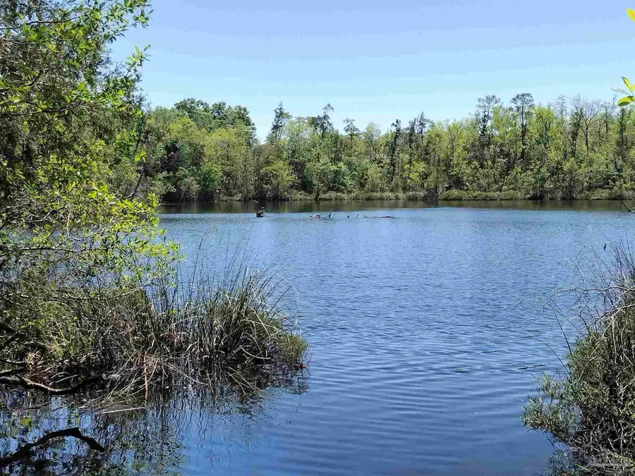 4611 Gunter Rd, Milton, FL 32570 - #2