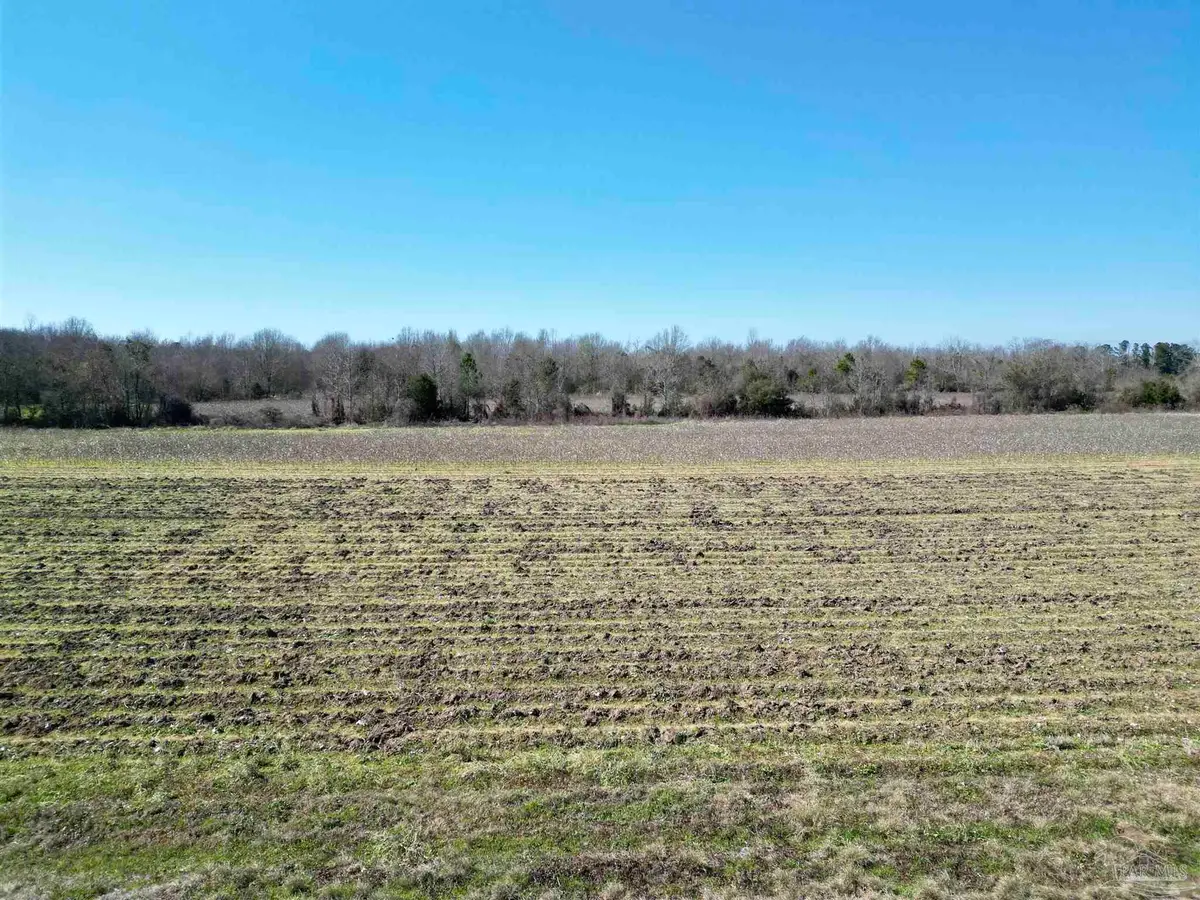 7 Cowpen Creek Rd, Atmore, AL 36502 - #1