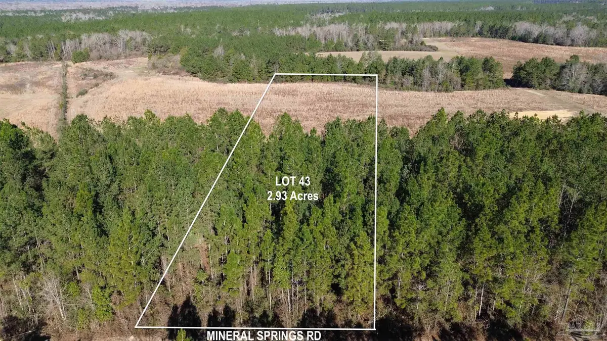 Lot 43 Mineral Springs Rd, Jay, FL 32565 - #1