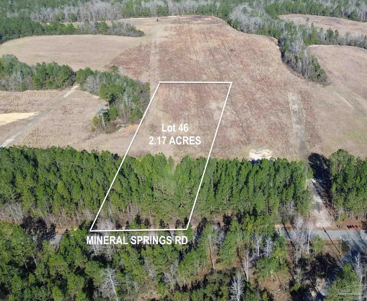 Lot 46 Mineral Springs Rd, Jay, FL 32565 - #1