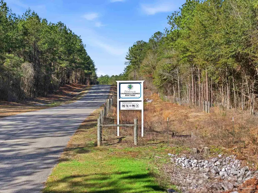 Lot 46 Mineral Springs Rd, Jay, FL 32565 - #3