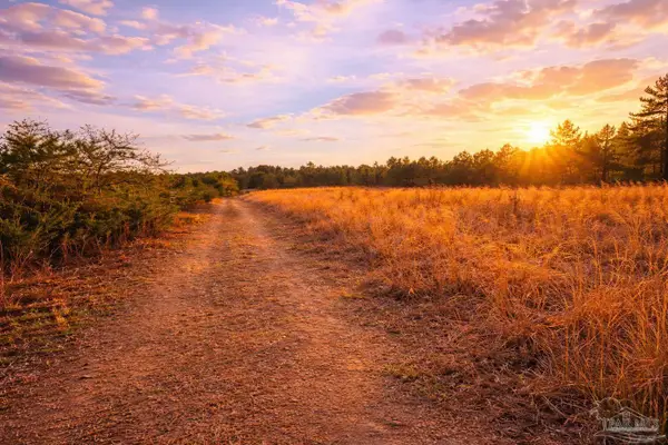 Lot 41 Mineral Springs Rd, Jay, FL 32565