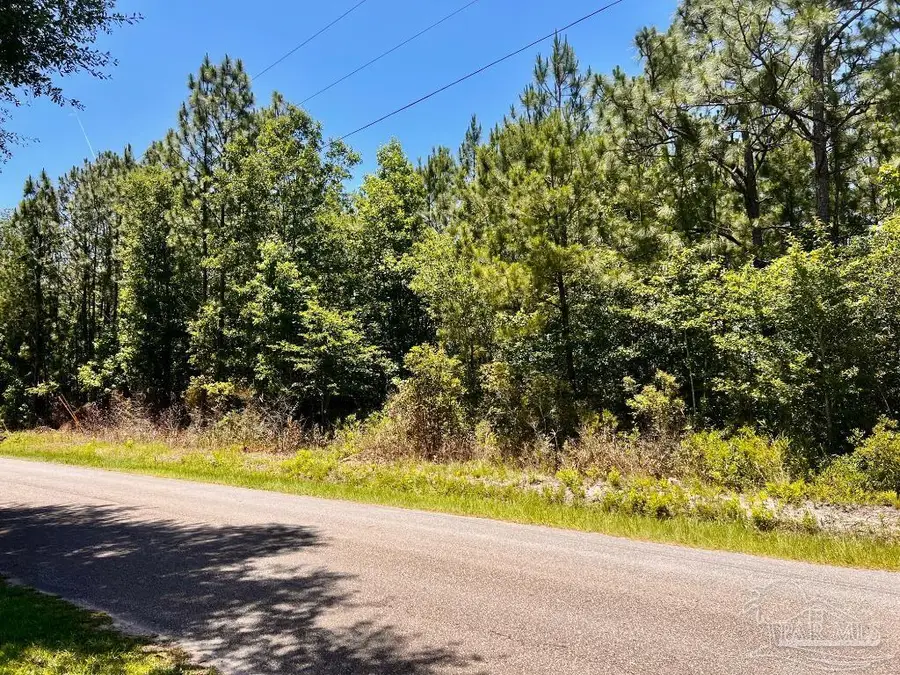 Lot 42 Mineral Springs Rd, Jay, FL 32565 - #3