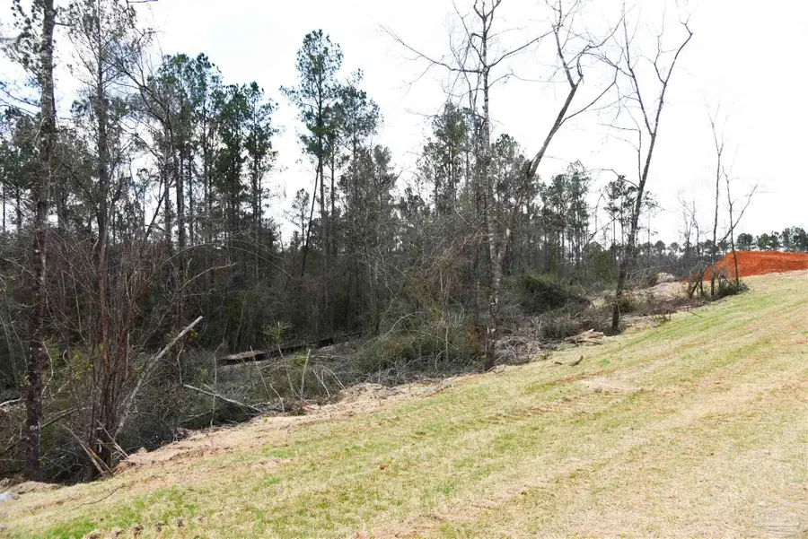 Lot 1 Creek Bluff Dr, Pace, FL 32571 - #3