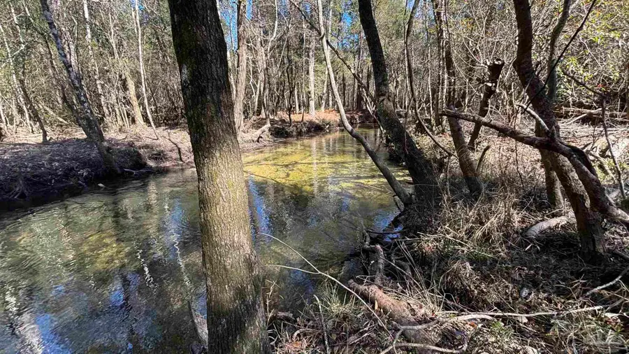 Lot 22 Creek Bluff Dr, Pace, FL 32571 - #2