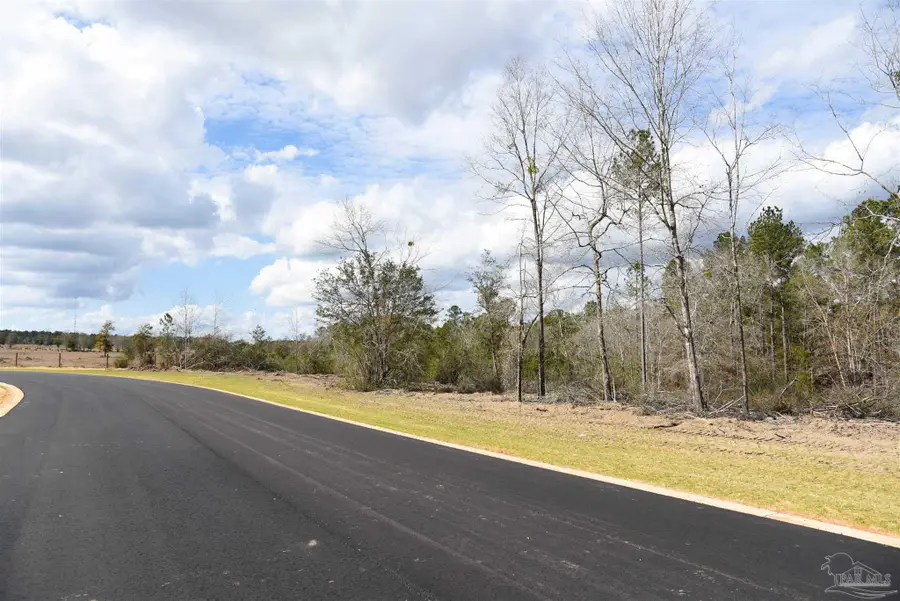 Lot 22 Creek Bluff Dr, Pace, FL 32571 - #3