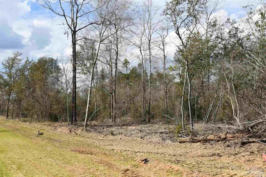 Lot 21 Creek Bluff Dr, Pace, FL 32571 - #2