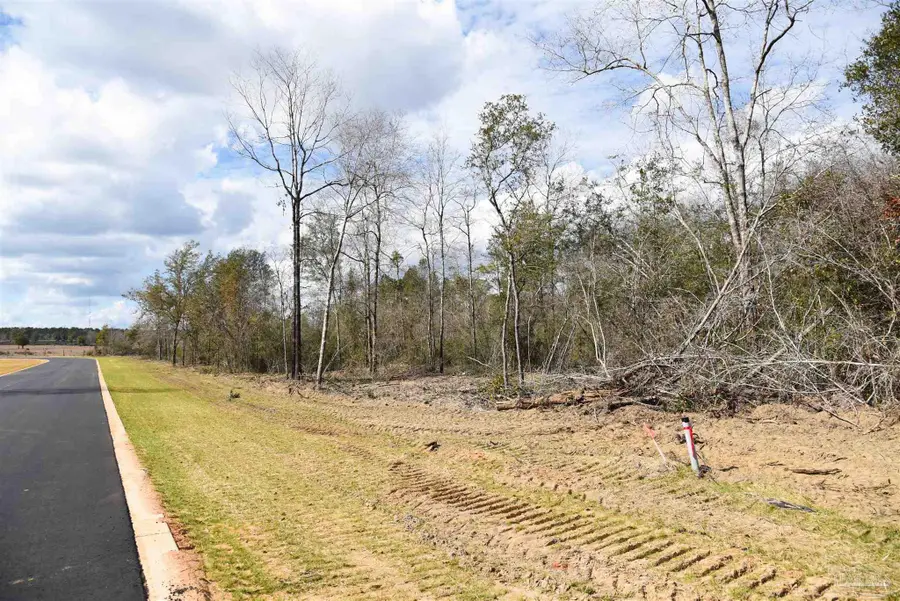 Lot 21 Creek Bluff Dr, Pace, FL 32571 - #3
