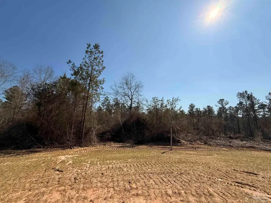 Lot 10 Brook Crossing St, Pace, FL 32571 - #3