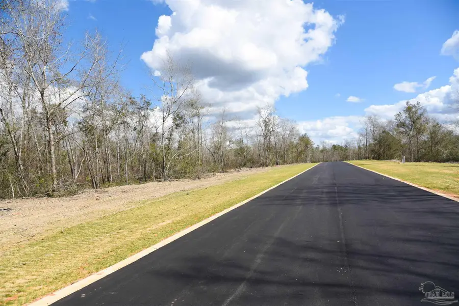 Lot 20 Creek Bluff Dr, Pace, FL 32571 - #3