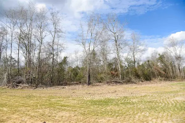 Lot 19 Creek Bluff Dr, Pace, FL 32571