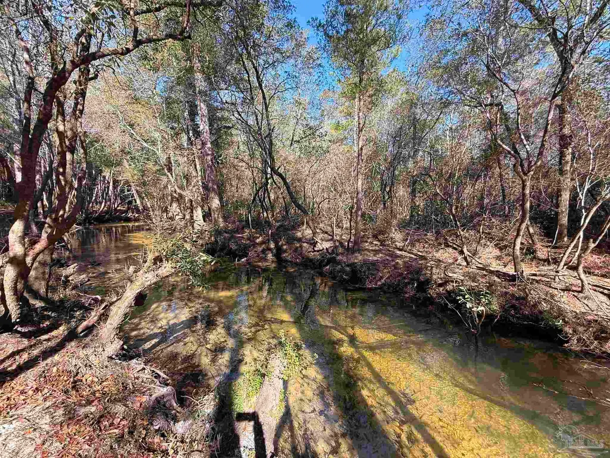Lot 18 Brook Crossing St, Pace, FL 32571 - #1