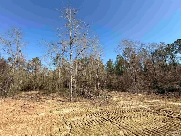 Lot 16 Brook Crossing St, Pace, FL 32571