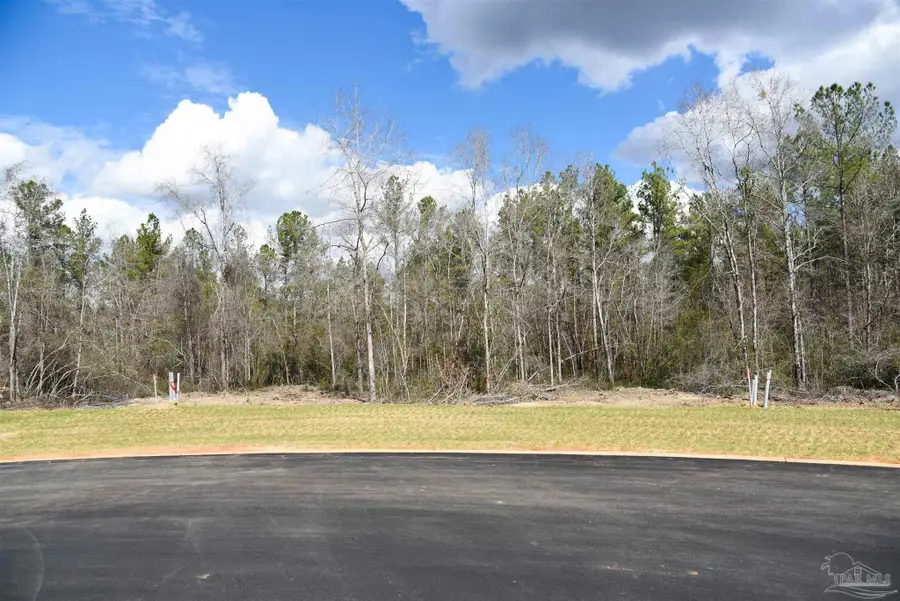 Lot 16 Brook Crossing St, Pace, FL 32571 - #3