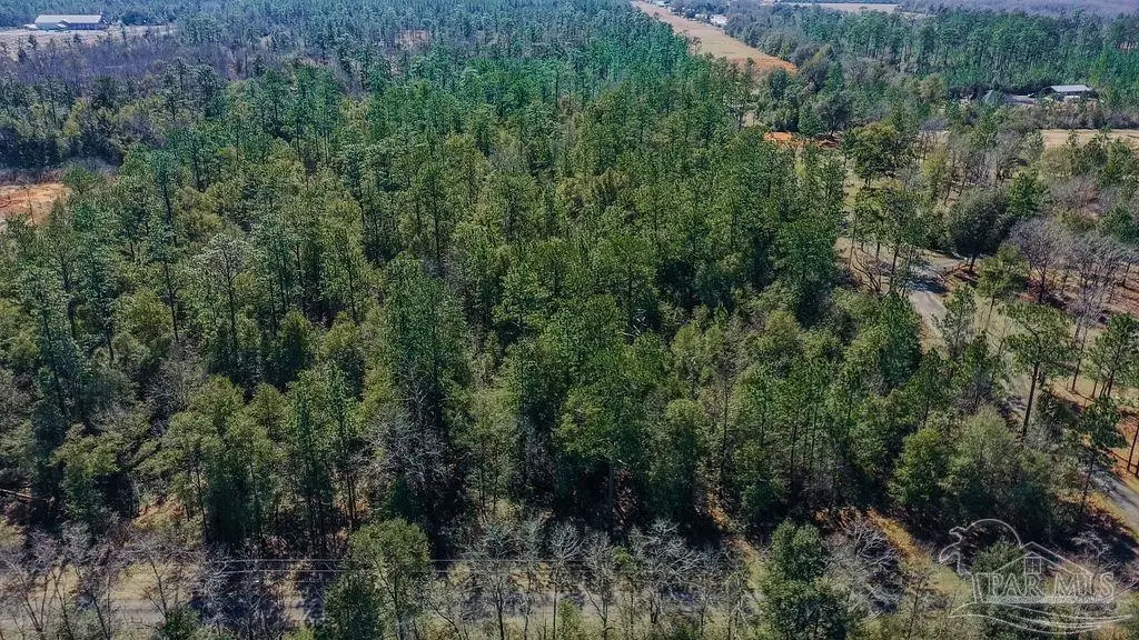 1A Hatfield Ln, Pace, FL 32571 - #1