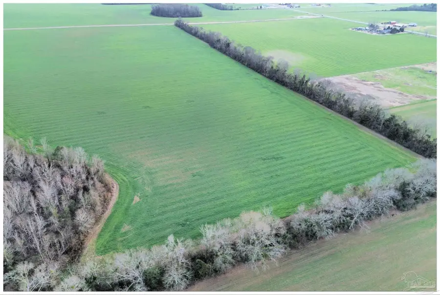 0000 Rocky Rd, Jay, FL 32565 - #2