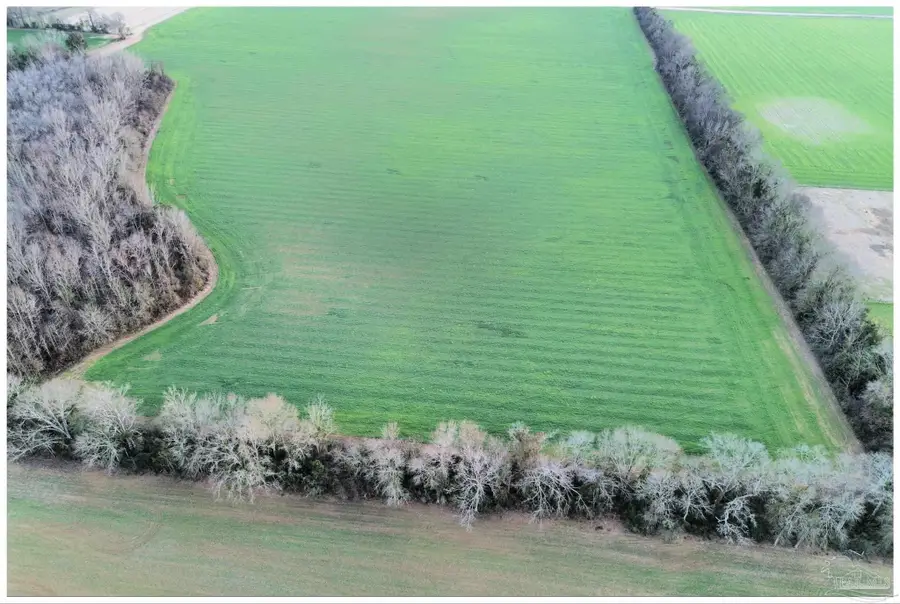 0000 Rocky Rd, Jay, FL 32565 - #3