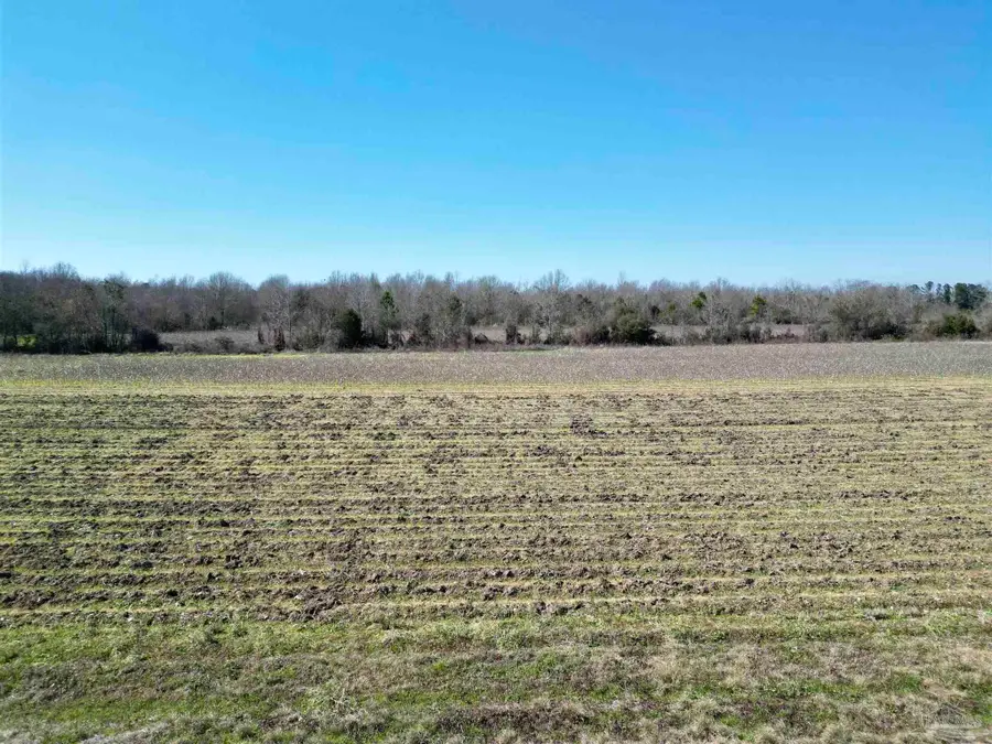 8 Cowpen Creek Rd, Atmore, AL 36502 - #3