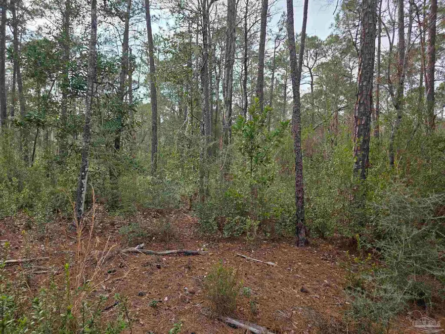 3500 Barrineau Park Rd, Cantonment, FL 32533 - #2