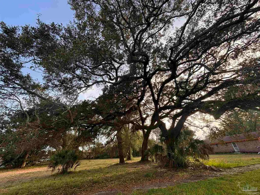 1005 W Lloyd St, Pensacola, FL 32503 - #2