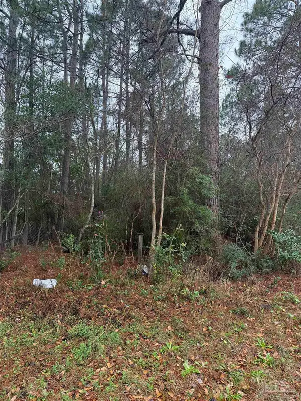 300 BLK Mier Henry Rd, Pensacola, FL 32506