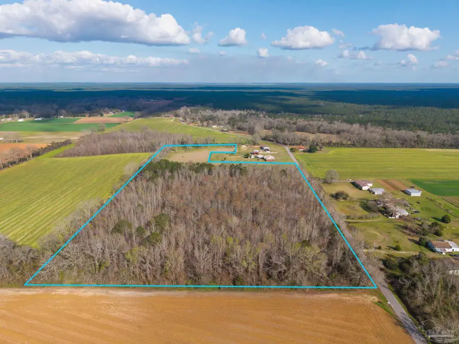 6562 Will Jones Rd, Jay, FL 32565 - #3