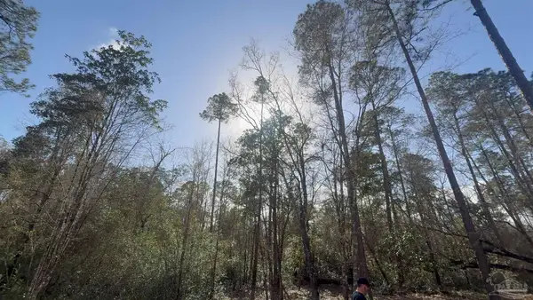 00 Native Creek Rd, Milton, FL 32571