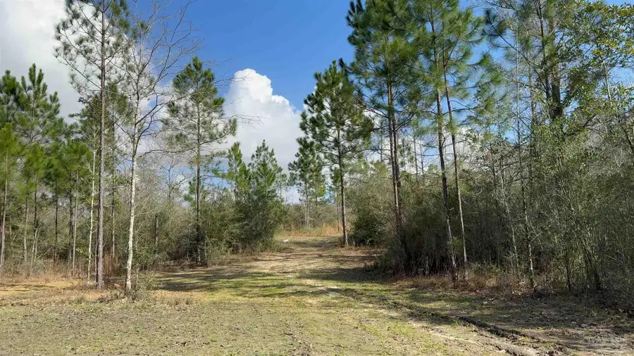 00 Native Creek Rd, Milton, FL 32571 - #2