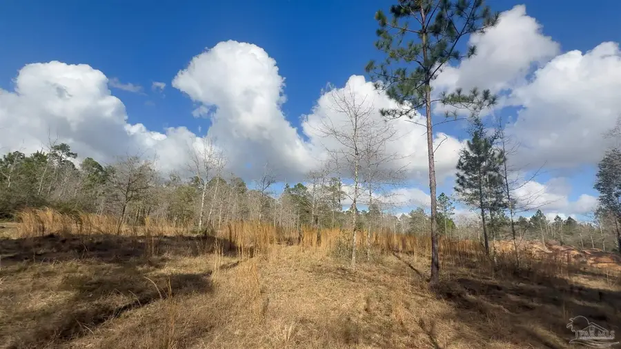 00 Native Creek Rd, Milton, FL 32571 - #3