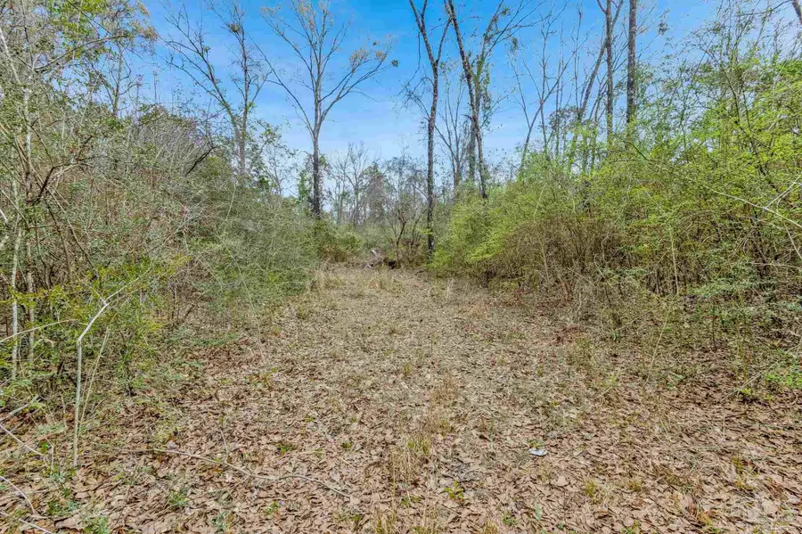 7900 Enon School Rd, McDavid, FL 32568 - #2