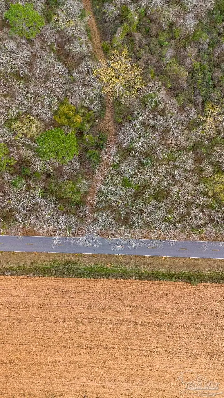 7900 Enon School Rd, McDavid, FL 32568 - #3