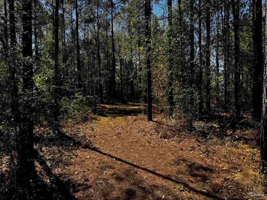 0000 Hwy 89, Milton, FL 32583 - #3