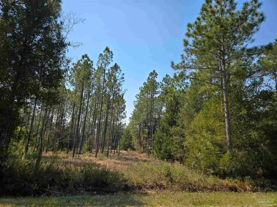 6641 Delhi Dr, Milton, FL 32583 - #2