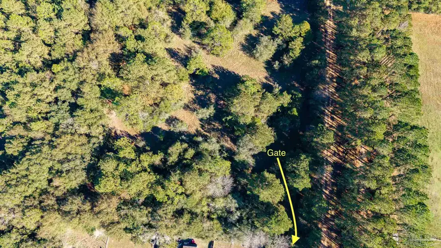 1756 Jacks Branch Rd, Cantonment, FL 32533 - #2