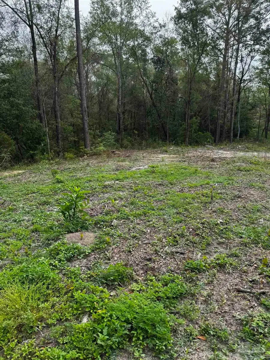 6318 Donna Dr, Molino, FL 32577 - #3