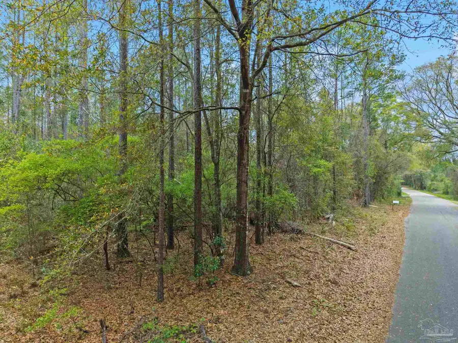 0 Tom Shivers Rd, Flomaton, AL 36441 - #3
