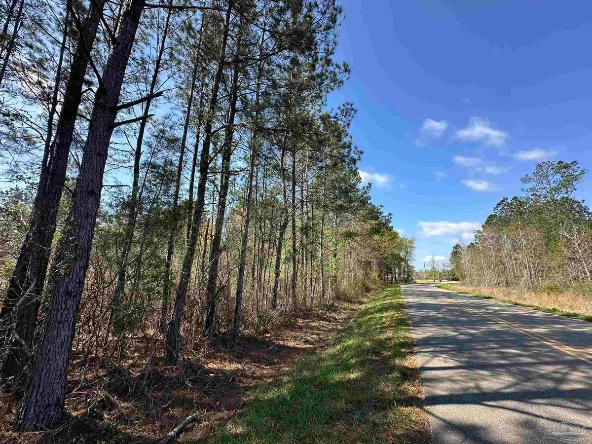Lot A1 Snider Rd, Frisco City, AL 36445 - #1