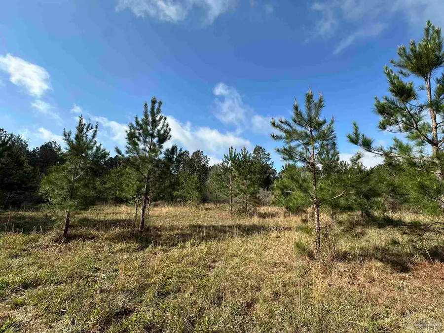 Lot A1 Snider Rd, Frisco City, AL 36445 - #3
