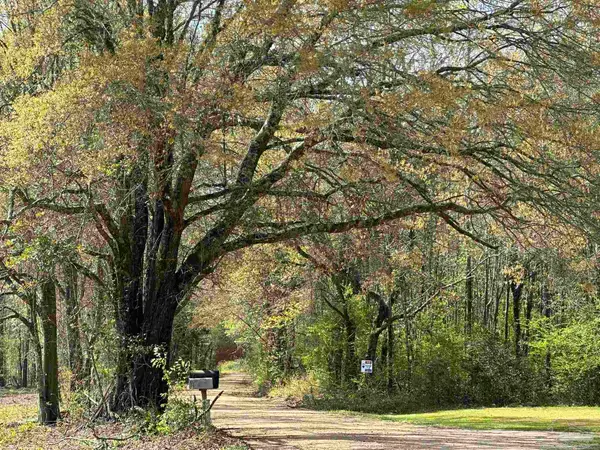 Parcel G Lett Rd, Frisco City, AL 36445